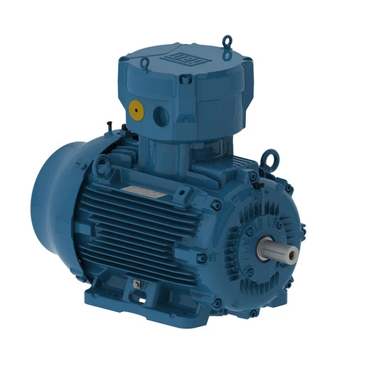 Hazardous Area Motors