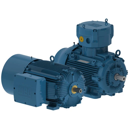 hazardous area motors