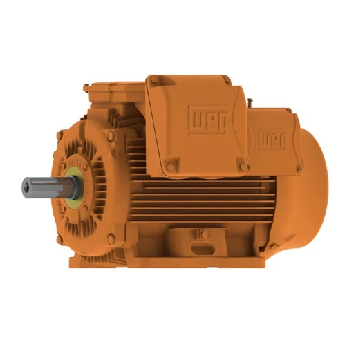 low voltage electric motors Western Australia