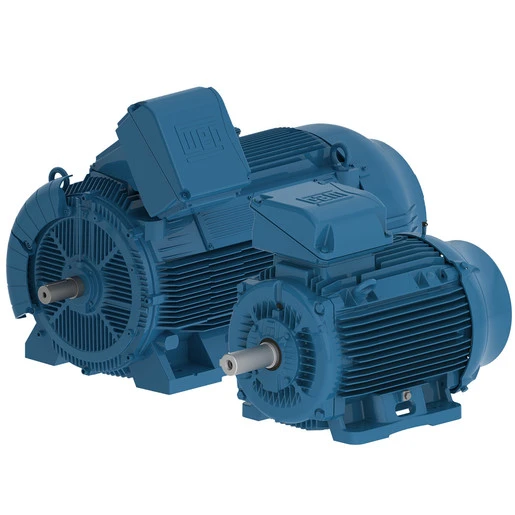 low voltage motors