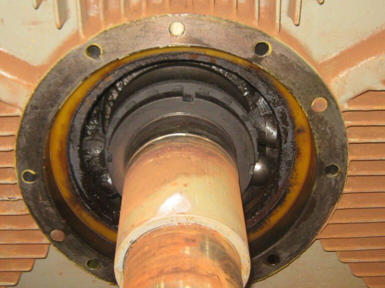 elec motor failures bearings